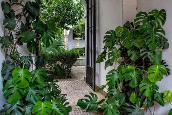Apartamento En Un Dormitorio En Plaza Alfaro 세비야 외부 사진